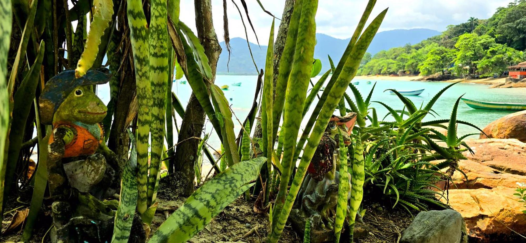 Sobre As Ondas De 賓館 Picinguaba